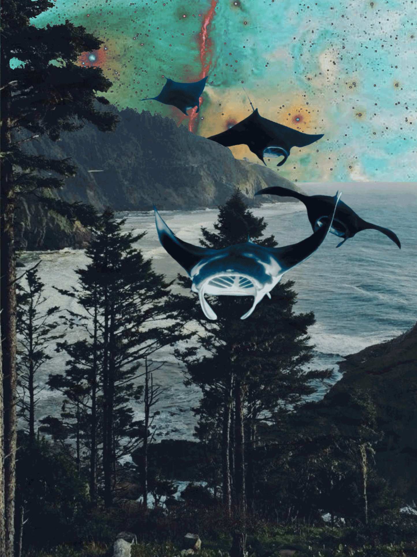 Collage Mantarraya